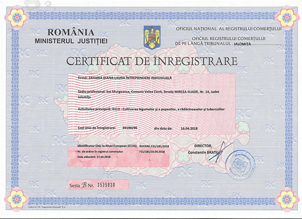 Certificat Inregistrare